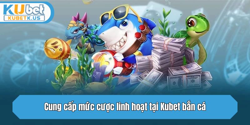 Cung cấp mức cược linh hoạt