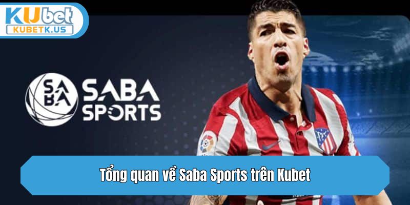 Tổng quan về Saba Sports trên Kubet